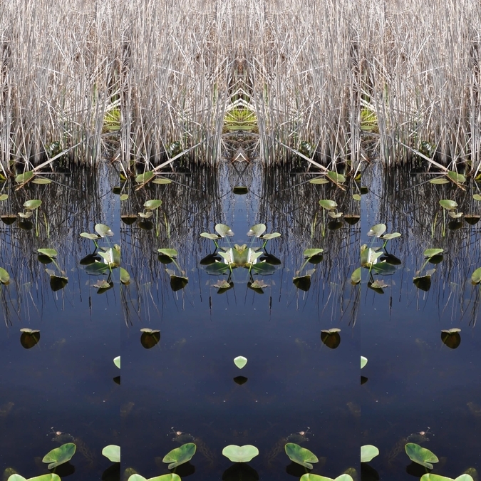 Halligan’s Pond, Maltby and Victoria Roads