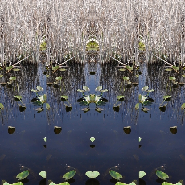 Halligan’s Pond, Maltby and Victoria Roads