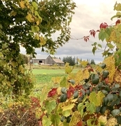 Ignatius Farm